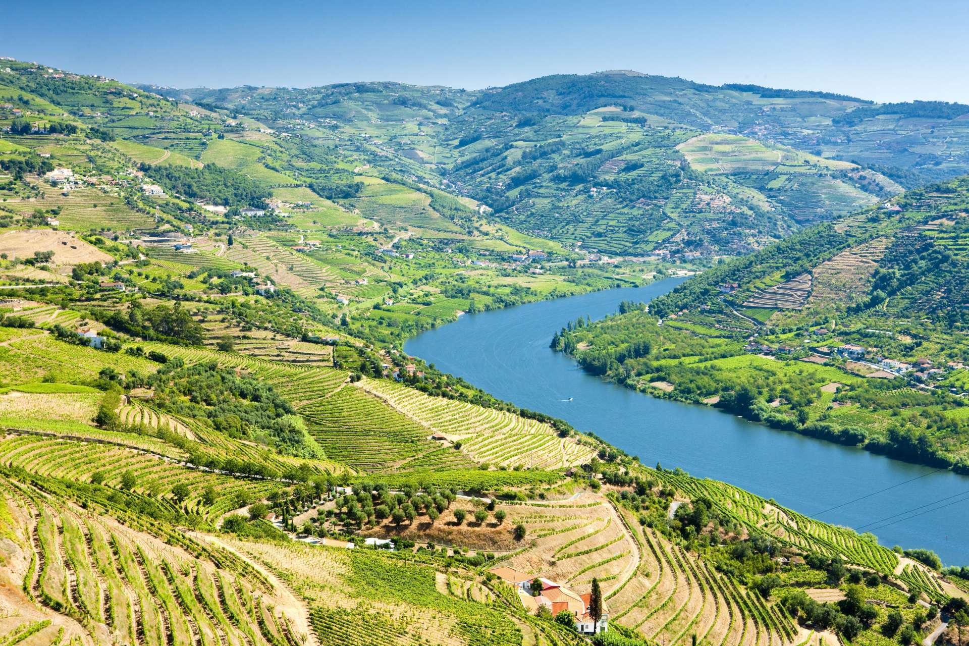 Vignobles du Douro - La cave du Groupe Mariano