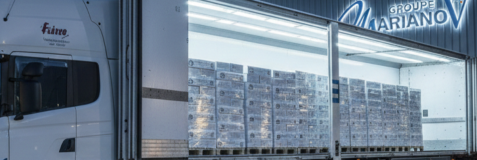 La Maîtrise de la Chaîne d'Approvisionnement Transnationale